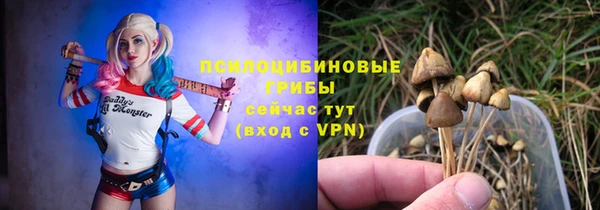 a pvp Аркадак